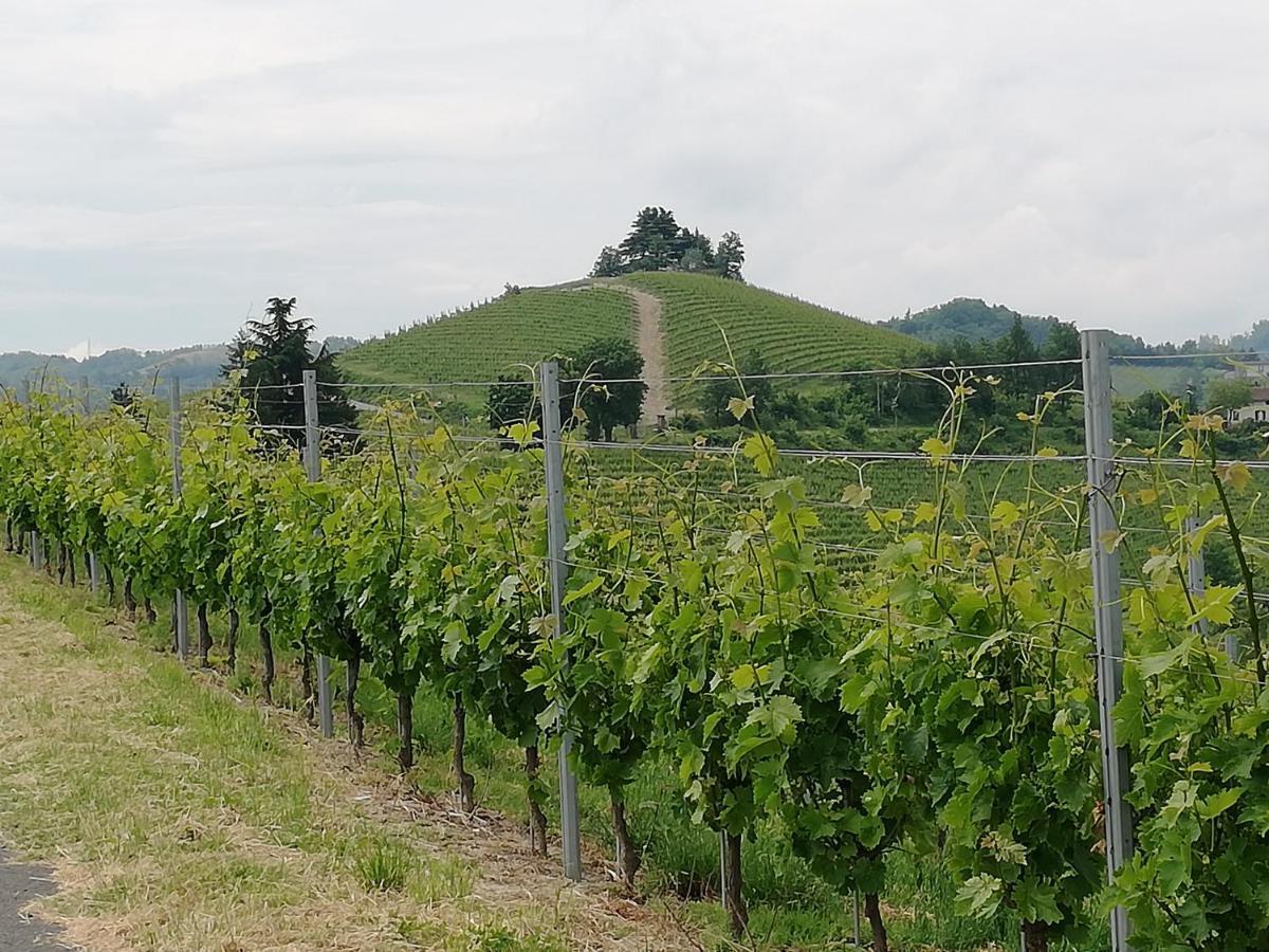 La Giribaldina Winery & Farmhouse Calamandrana Bagian luar foto