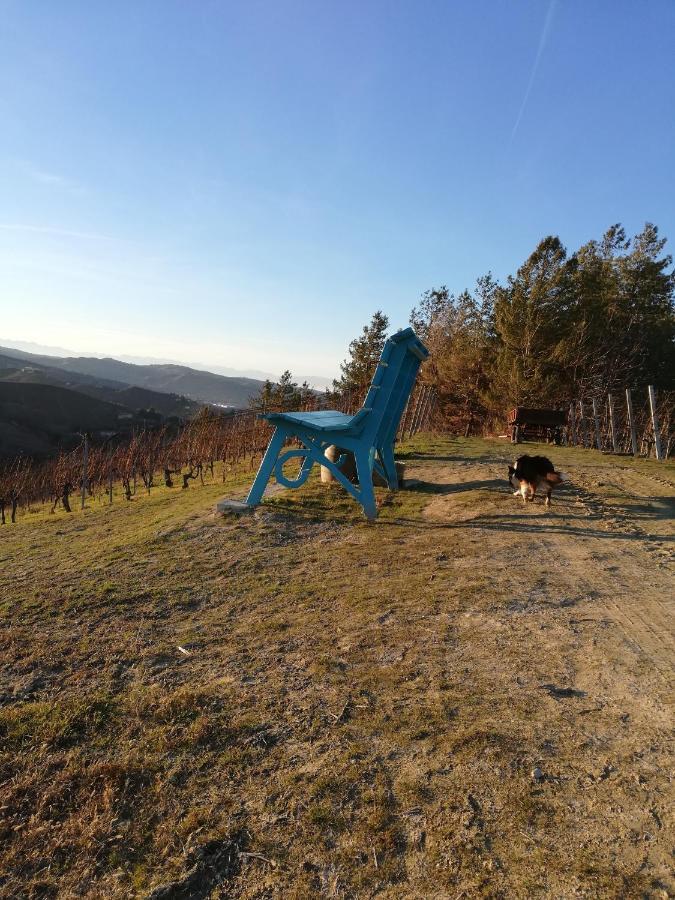La Giribaldina Winery & Farmhouse Calamandrana Bagian luar foto