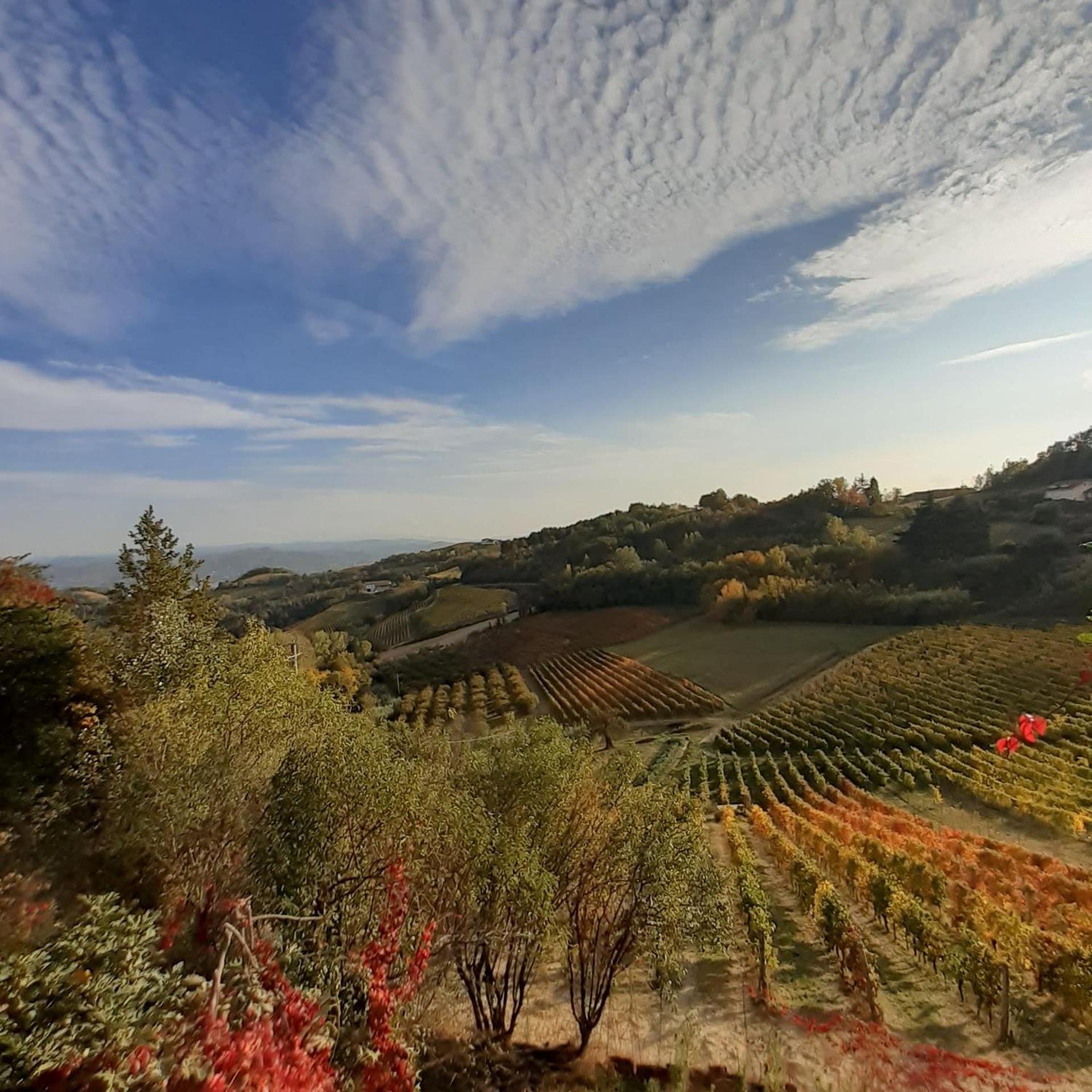 La Giribaldina Winery & Farmhouse Calamandrana Bagian luar foto